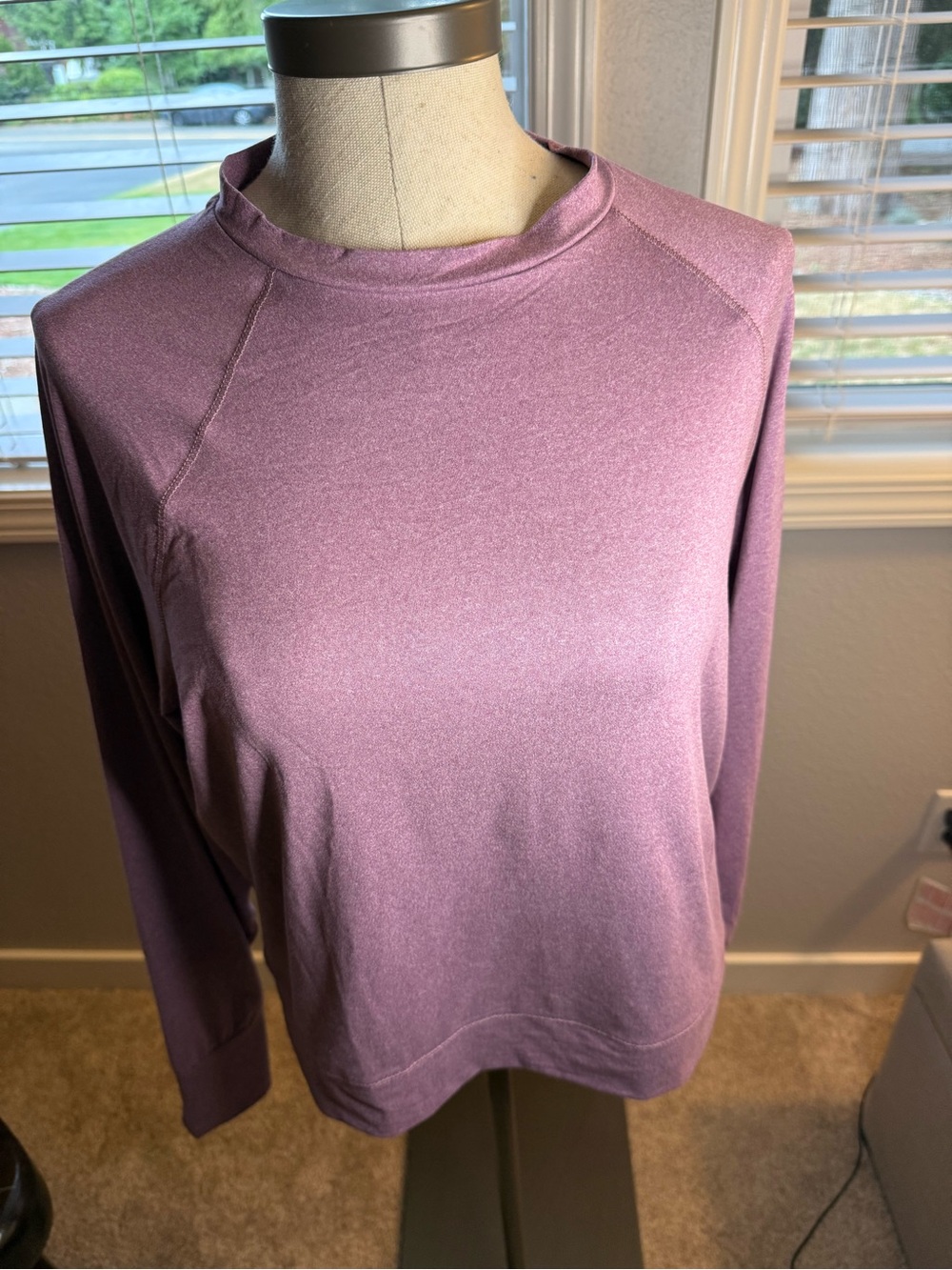 Relaxed Long-Sleeve Crewneck Top in Mauve